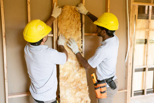 Best Insulation for New Construction  in Aubrey, TX