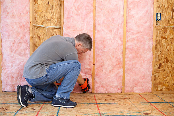 Best Crawl Space Insulation  in Aubrey, TX